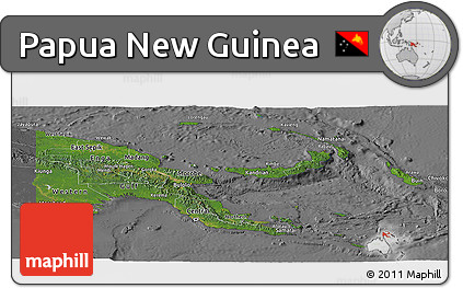 Satellite Panoramic Map of Papua New Guinea, desaturated