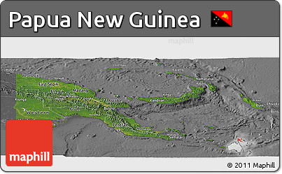 Satellite Panoramic Map of Papua New Guinea, desaturated