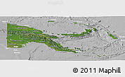 Satellite Panoramic Map of Papua New Guinea, lighten, desaturated