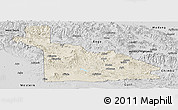 Shaded Relief Panoramic Map of Southern Highlands, desaturated