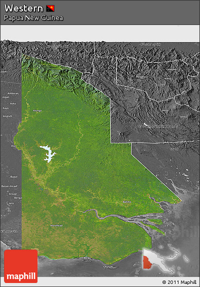 Satellite 3D Map of Western, desaturated