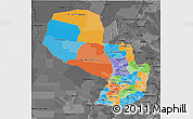 Political 3D Map of Paraguay, darken, desaturated