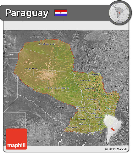 Satellite 3D Map of Paraguay, desaturated