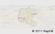 Shaded Relief Panoramic Map of Itakyry, lighten