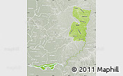 Physical Map of Alto Parana, lighten, semi-desaturated