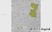 Satellite Map of Alto Parana, lighten, desaturated