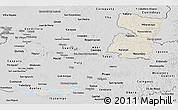 Shaded Relief Panoramic Map of Alto Parana, desaturated