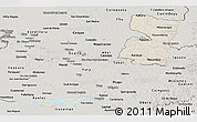 Shaded Relief Panoramic Map of Alto Parana, semi-desaturated