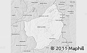 Silver Style 3D Map of Capitan Bado