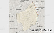 Shaded Relief Map of Capitan Bado, semi-desaturated