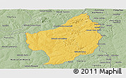 Savanna Style Panoramic Map of Capitan Bado
