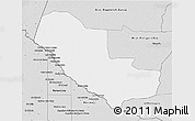 Silver Style 3D Map of Pedro P. Pena