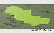 Physical Panoramic Map of Pedro P. Pena, darken, semi-desaturated