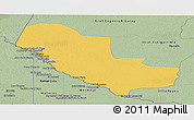 Savanna Style Panoramic Map of Pedro P. Pena