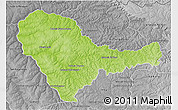 Physical 3D Map of Curuguaty, desaturated