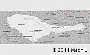Gray Panoramic Map of Curuguaty