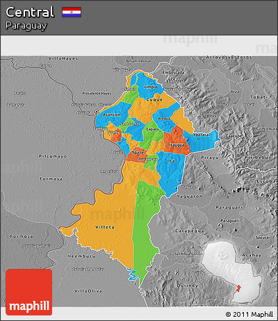 Political 3D Map of Central, desaturated