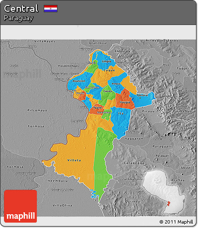 Political 3D Map of Central, desaturated