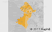 Political Shades 3D Map of Central, lighten, desaturated