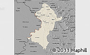 Shaded Relief 3D Map of Central, darken, desaturated