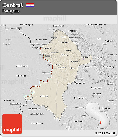 Shaded Relief 3D Map of Central, desaturated