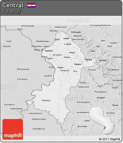 Silver Style 3D Map of Central