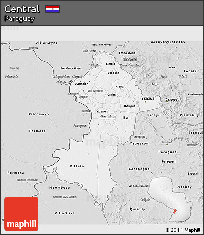 Silver Style 3D Map of Central