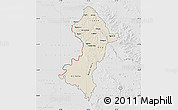 Shaded Relief Map of Central, lighten, desaturated