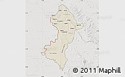 Shaded Relief Map of Central, lighten, semi-desaturated