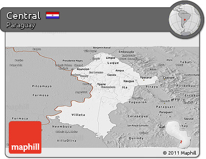 Gray Panoramic Map of Central