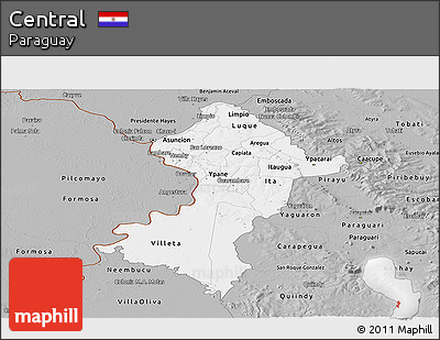 Gray Panoramic Map of Central
