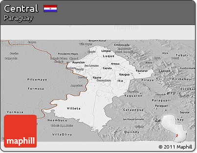 Gray Panoramic Map of Central