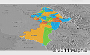 Political Panoramic Map of Central, desaturated