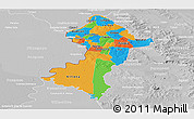 Political Panoramic Map of Central, lighten, desaturated