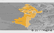 Political Shades Panoramic Map of Central, desaturated