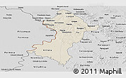 Shaded Relief Panoramic Map of Central, desaturated