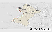 Shaded Relief Panoramic Map of Central, lighten, desaturated