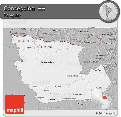 Gray 3D Map of Concepcion