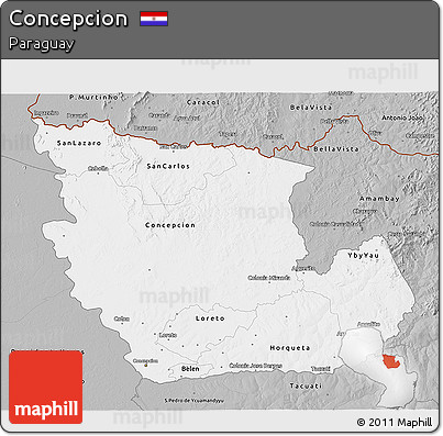 Gray 3D Map of Concepcion