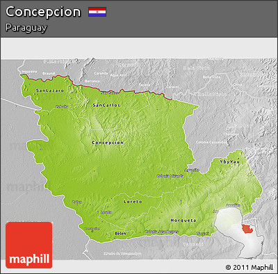 Physical 3D Map of Concepcion, lighten, desaturated