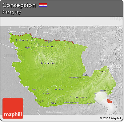 Physical 3D Map of Concepcion, lighten, desaturated
