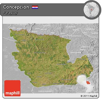 Satellite 3D Map of Concepcion, lighten, desaturated