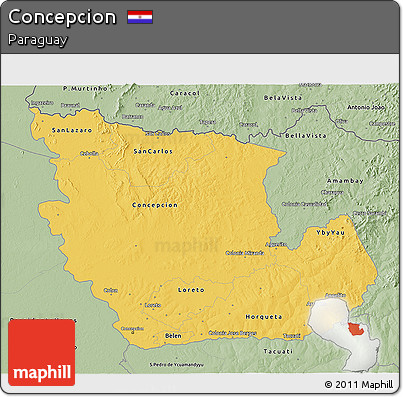 Savanna Style 3D Map of Concepcion