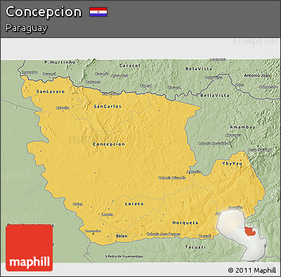 Savanna Style 3D Map of Concepcion