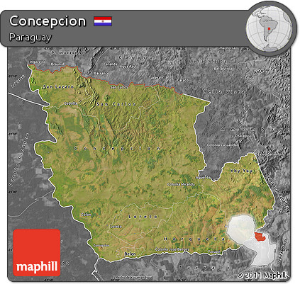 Satellite Map of Concepcion, desaturated