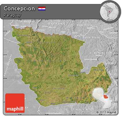 Satellite Map of Concepcion, lighten, desaturated