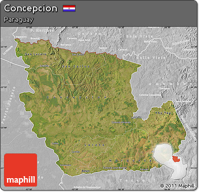 Satellite Map of Concepcion, lighten, desaturated