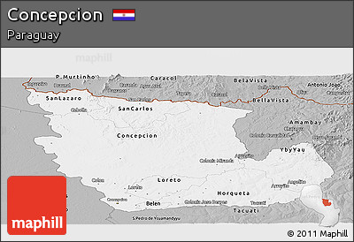Gray Panoramic Map of Concepcion