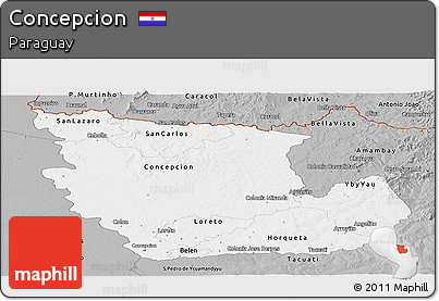 Gray Panoramic Map of Concepcion