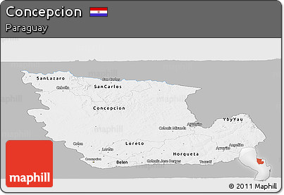 Gray Panoramic Map of Concepcion, single color outside